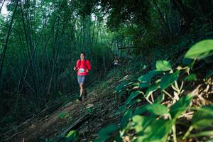 BIB: 
                            <button type="button" onclick="openModal(28124487)" class="btn btn-primary btn-sm float-right btn-popup" data-toggle="modal" data-target=".modal-high-quality">
                        <i class="fas fa-shopping-cart"></i> Add to Cart
                    </button>
                                            <button type="button" onclick="isThisMe(28124487, true)" class="btn btn-success btn-sm float-right btn-popup btn-isme hidden" data-toggle="tooltip" data-placement="bottom" title="นี่คือรูปของคุณใช่ไหม คลิกที่นี่เพื่อเอาเข้าอัลบั้ม">
                        <i class="fas fa-plus"></i> Add to album
                    </button>
                    <button type="button" onclick="isThisMe(28124487, false)" class="btn btn-warning btn-sm float-right btn-popup btn-isnotme hidden">
                        <i class="fas fa-ban"></i> Remove from album
                    </button>